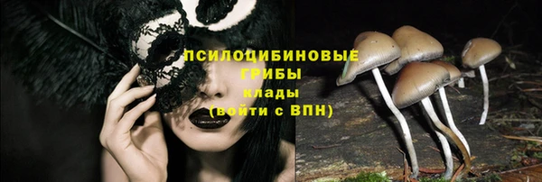 соль ск Алексеевка