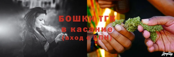 хмурый Дмитров