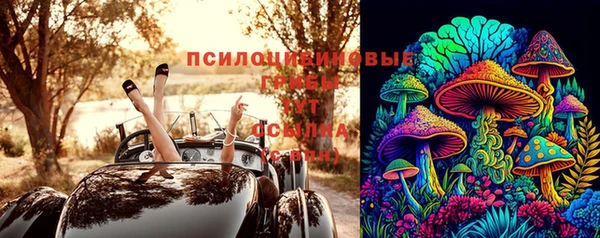a pvp Дмитриев