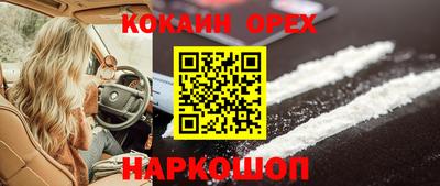 гидра Заводоуковск