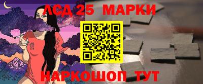 гидра Заводоуковск