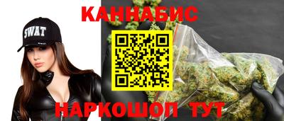 гидра Заводоуковск