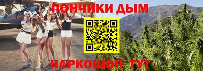 гидра Заводоуковск
