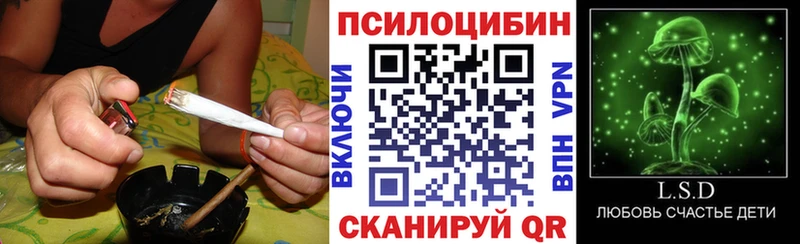 дарнет шоп  Рубцовск  Галлюциногенные грибы GOLDEN TEACHER 