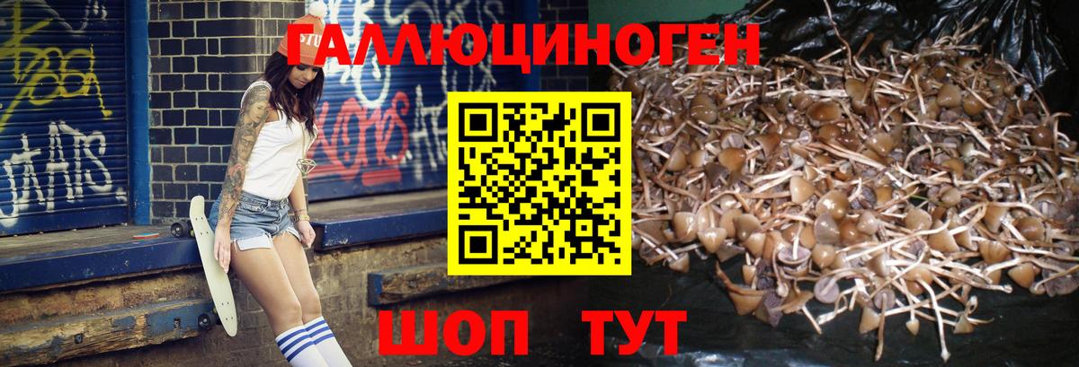 Псилоцибиновые грибы MAGIC MUSHROOMS  Вход с VPN  магазин    Рубцовск 