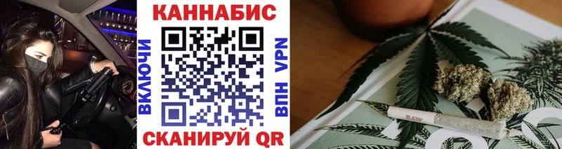 наркотики  Рубцовск  Конопля сатива 